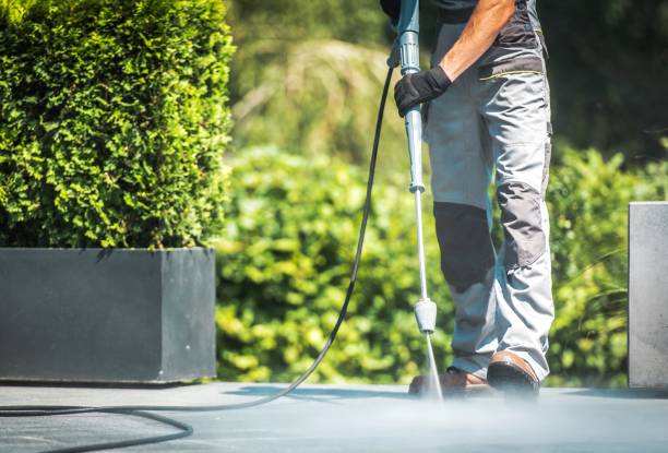 Best Paint Preparation  in Swanton, OH