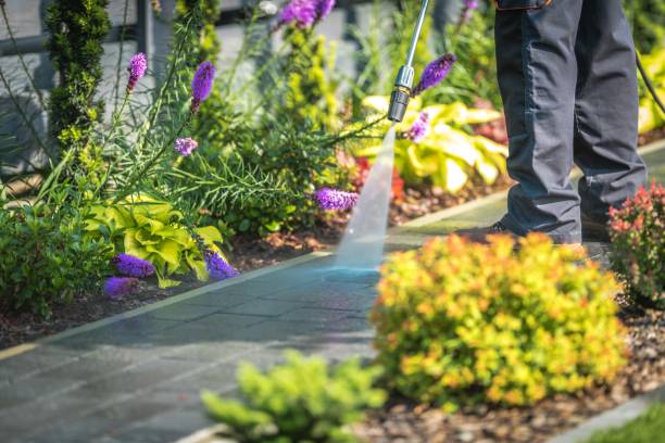 Best Winterizing Services  in Swanton, OH