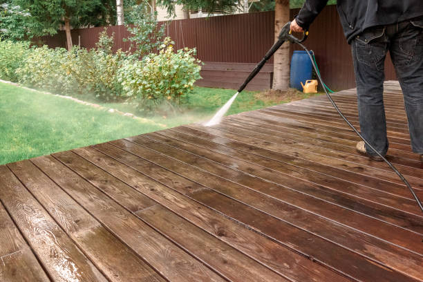 Best Spring Cleaning  in Swanton, OH